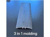 3 in 1 molding